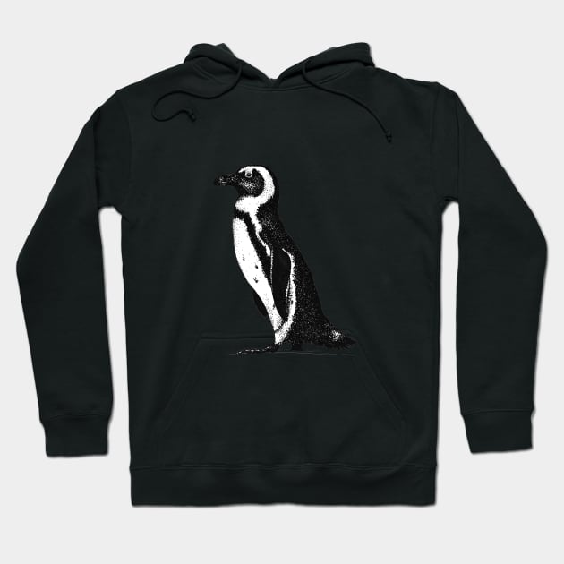 African Penguin Hoodie by samanthagarrett